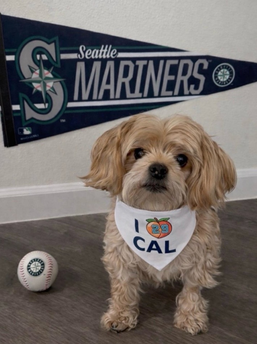 Seattle Mariners Baseball I ❤️ CAL Raleigh White Pet Dog Puppy Bandana Scarf New